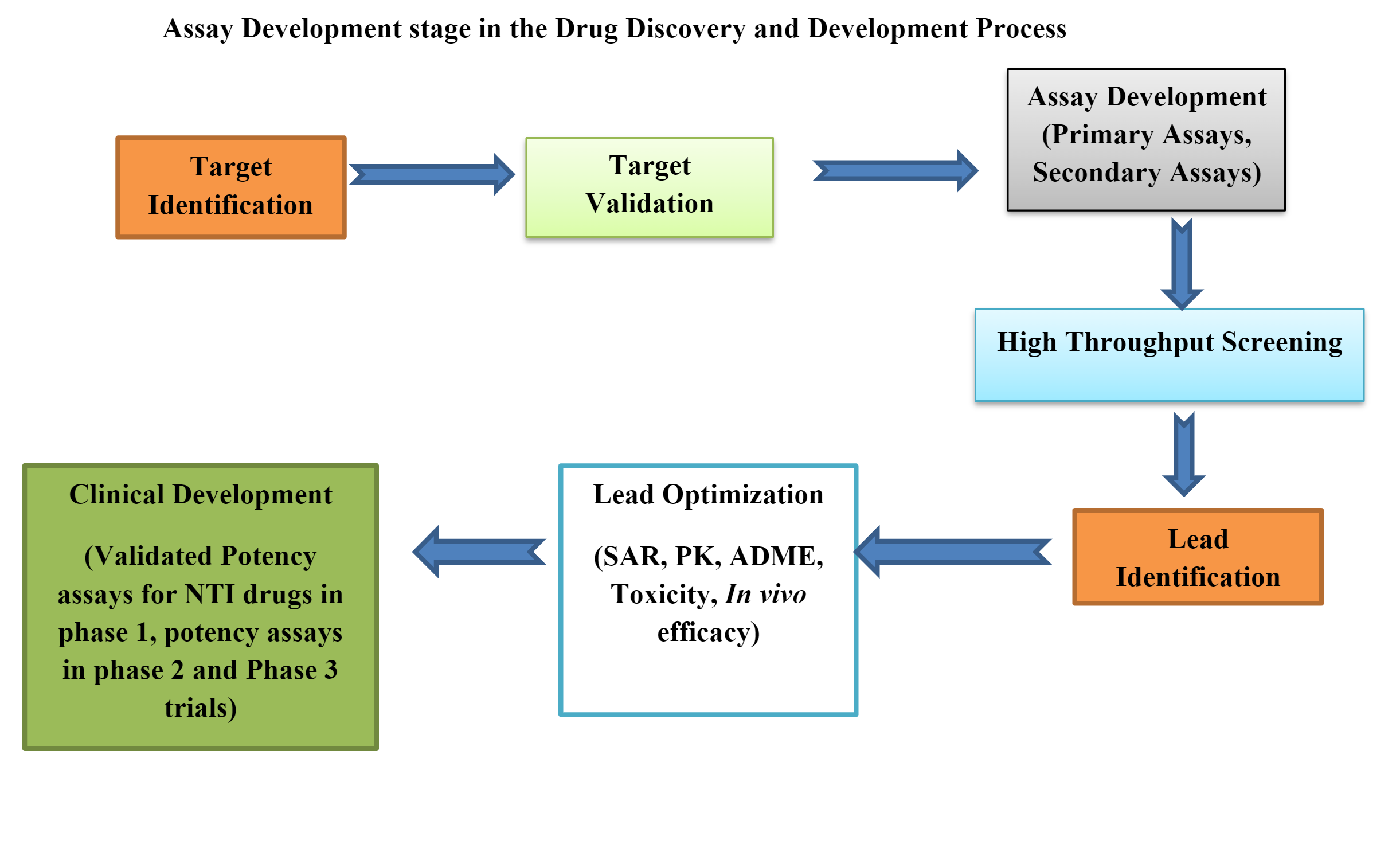 Chart Diagram of Assay Development Stage in the Drug Discovery and Development Process