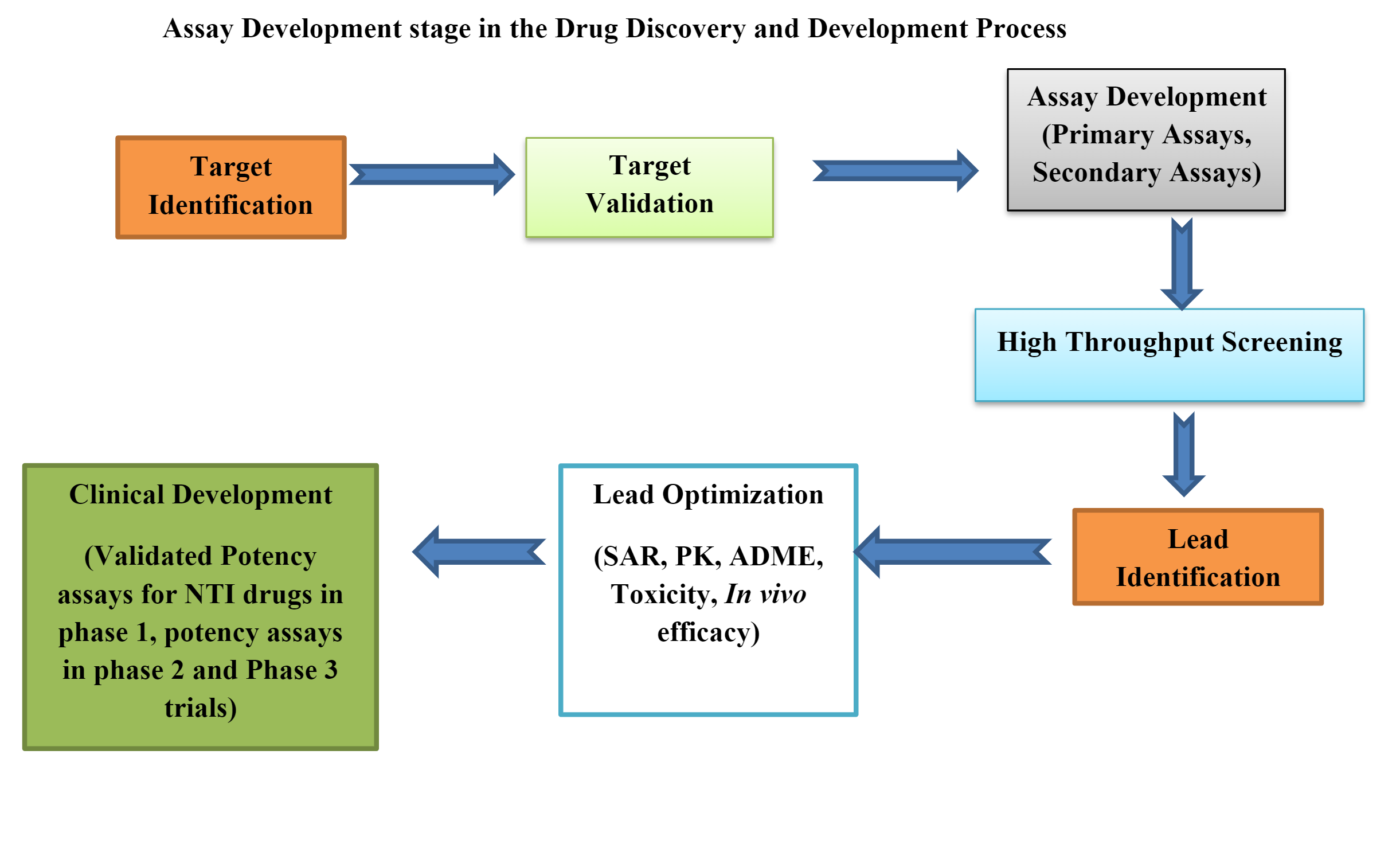 Diagramm der Assay-Entwicklungsphase im Arzneimittelentdeckungs- und -entwicklungsprozess